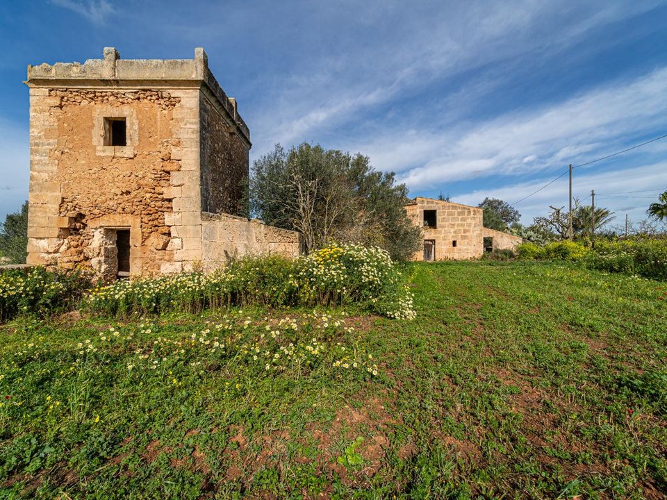 Terreno en Campos, Mallorca - foto 4