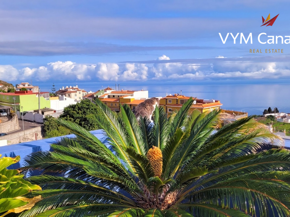 Villa i Icod de los Vinos, Tenerife - foto 3