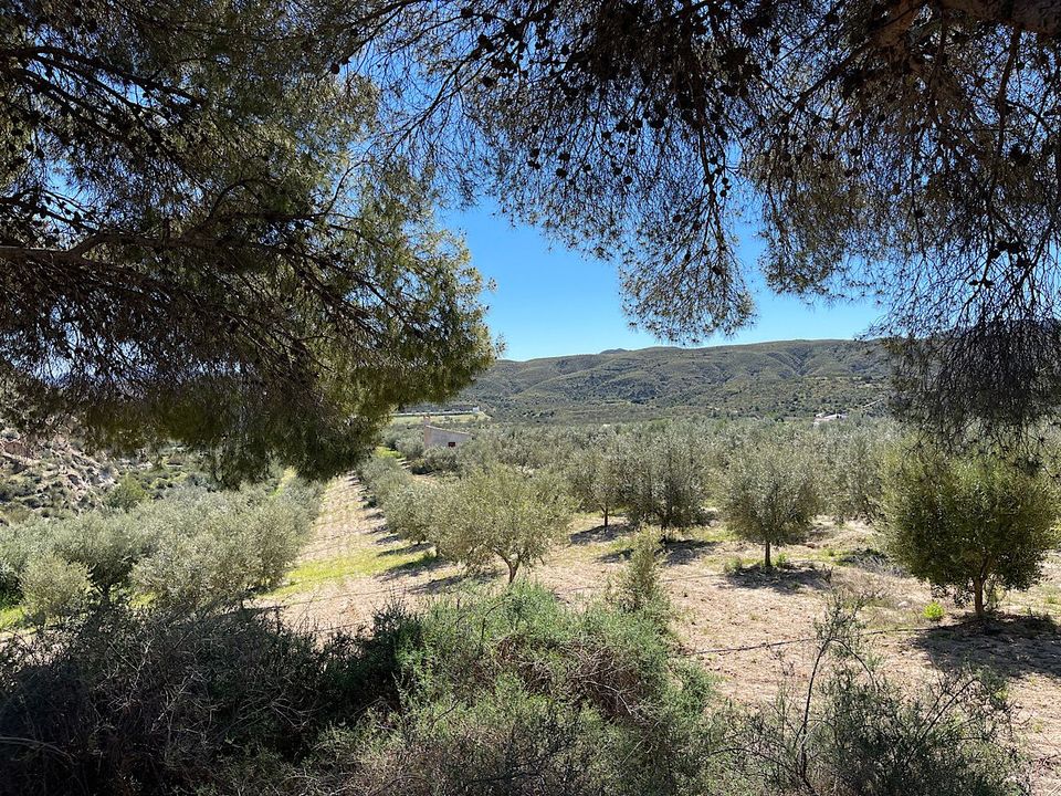 Helårsgrund i Sorbas, Almeria - foto 1