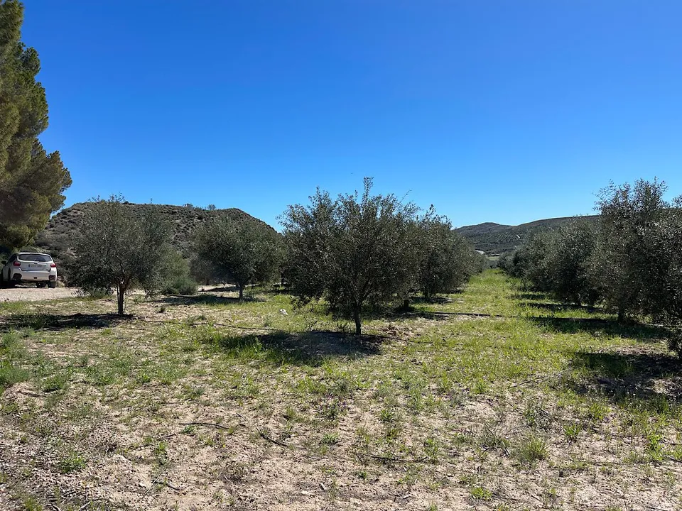Helårsgrund i Sorbas, Almeria - foto 2