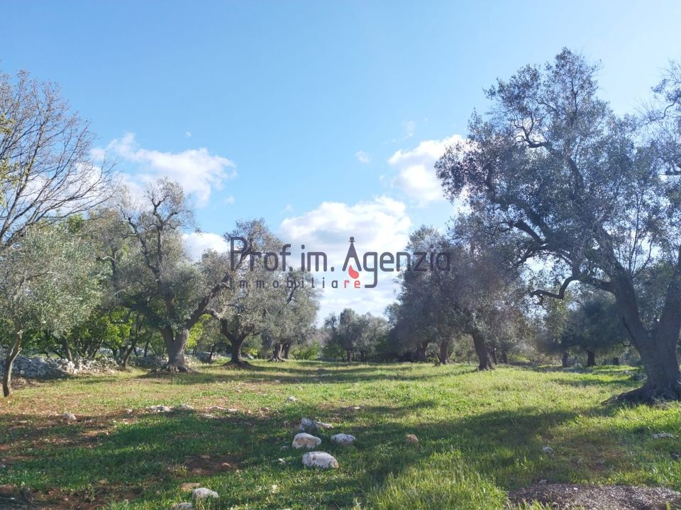 Helårsgrund i Carovigno, Brindisi - foto 1