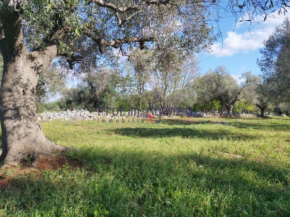 Helårsgrund i Carovigno, Brindisi - foto 2
