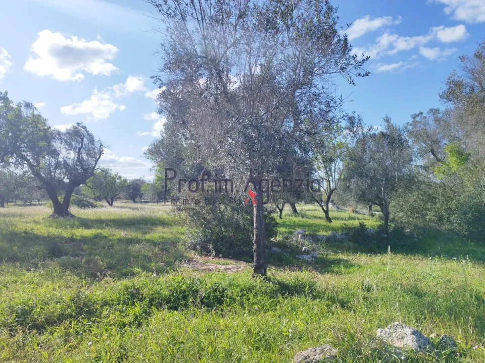 Helårsgrund i Carovigno, Brindisi - foto 3
