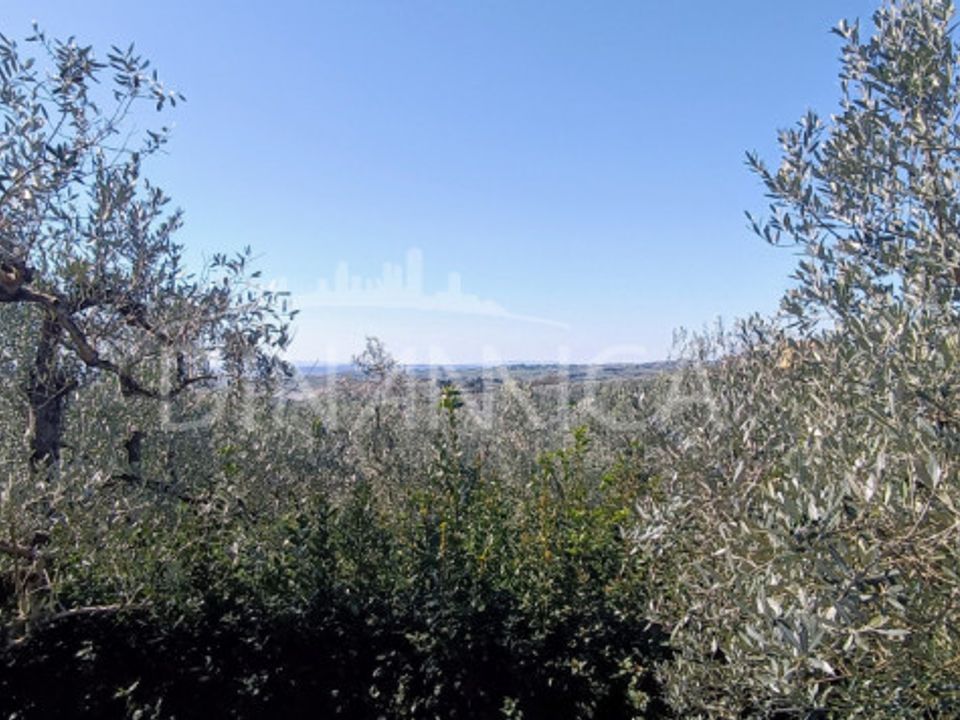 Dom wiejski: Vinci, Florence – zdjęcie 2