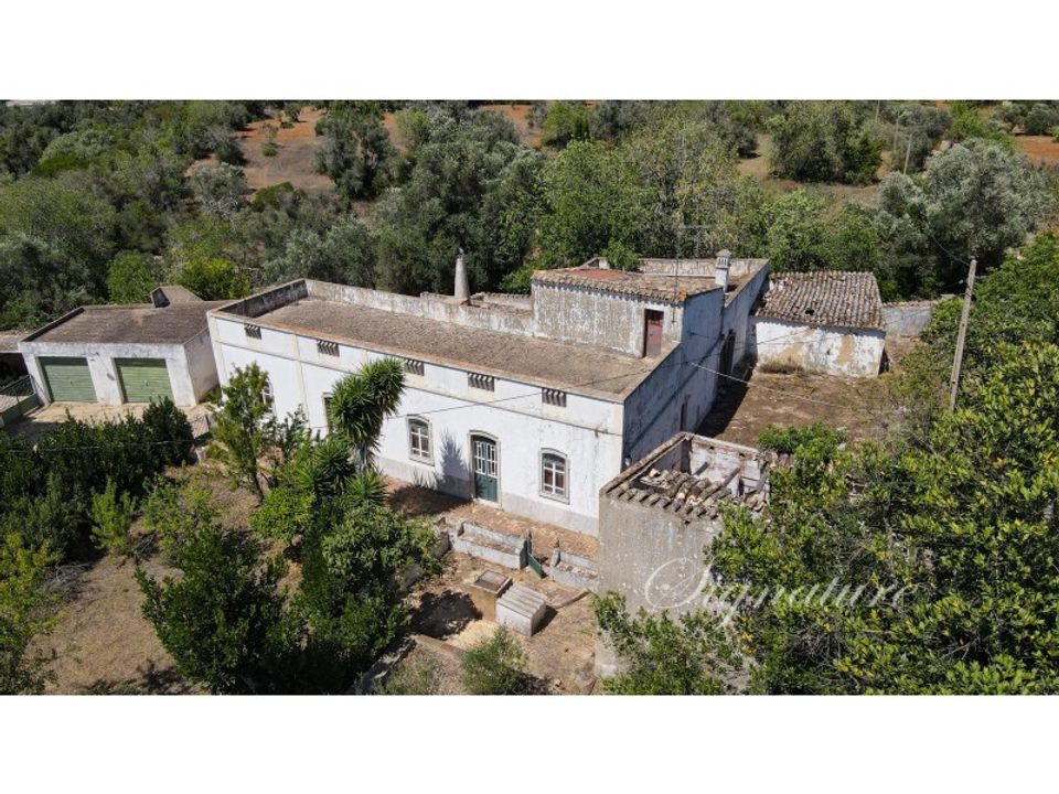 Farm i Santa Barbara de Nexe, Faro - foto 1