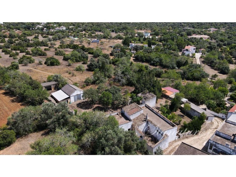 Farm i Santa Barbara de Nexe, Faro - foto 4
