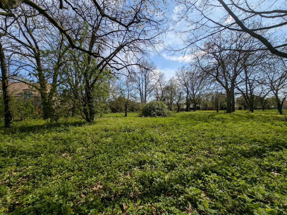 Terra a Coulommiers, Seine-et-Marne - foto 2