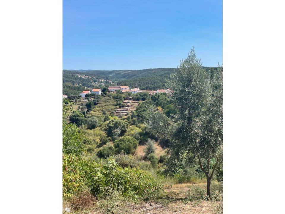 Helårsgrund i Abrantes, Santarem - foto 1