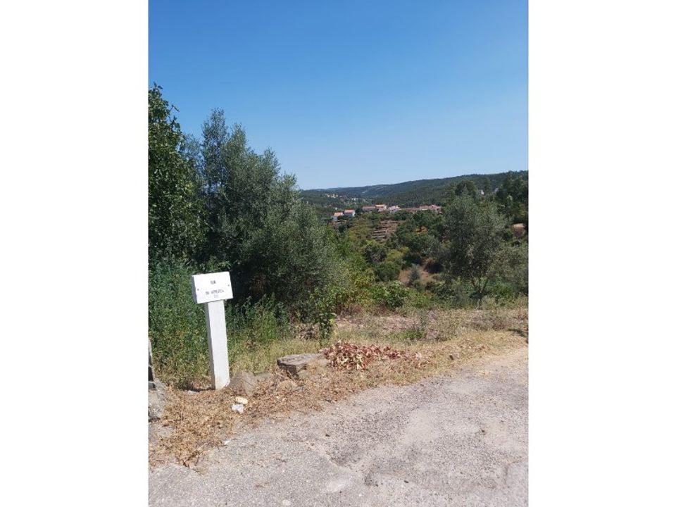 Helårsgrund i Abrantes, Santarem - foto 3