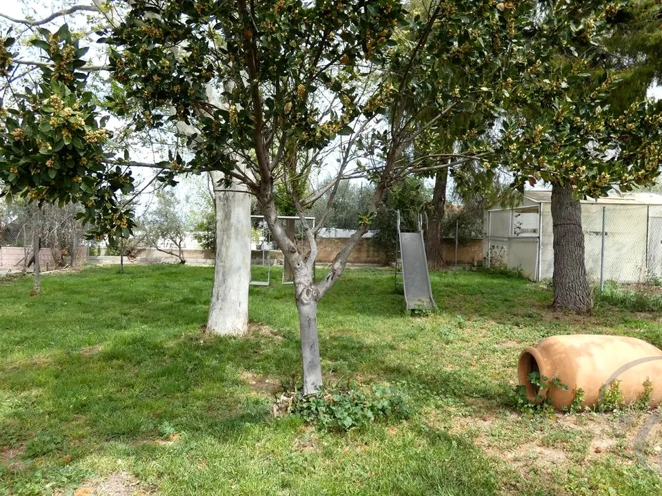 Villa i Baza, Granada - foto 2