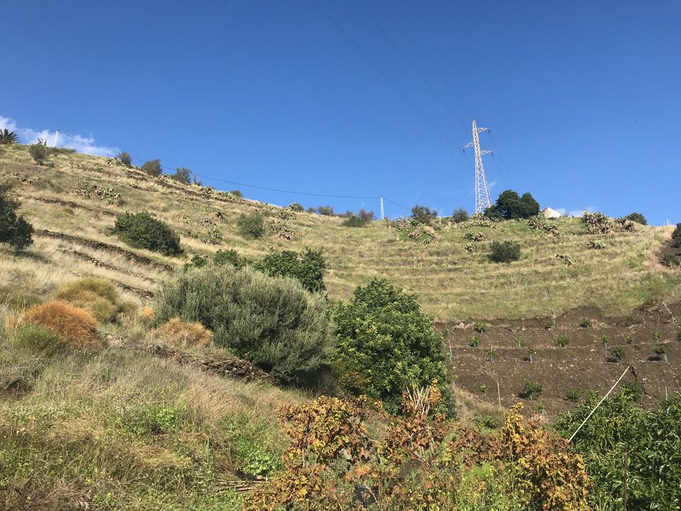 Helårsgrund i Nerja, Malaga - foto 5