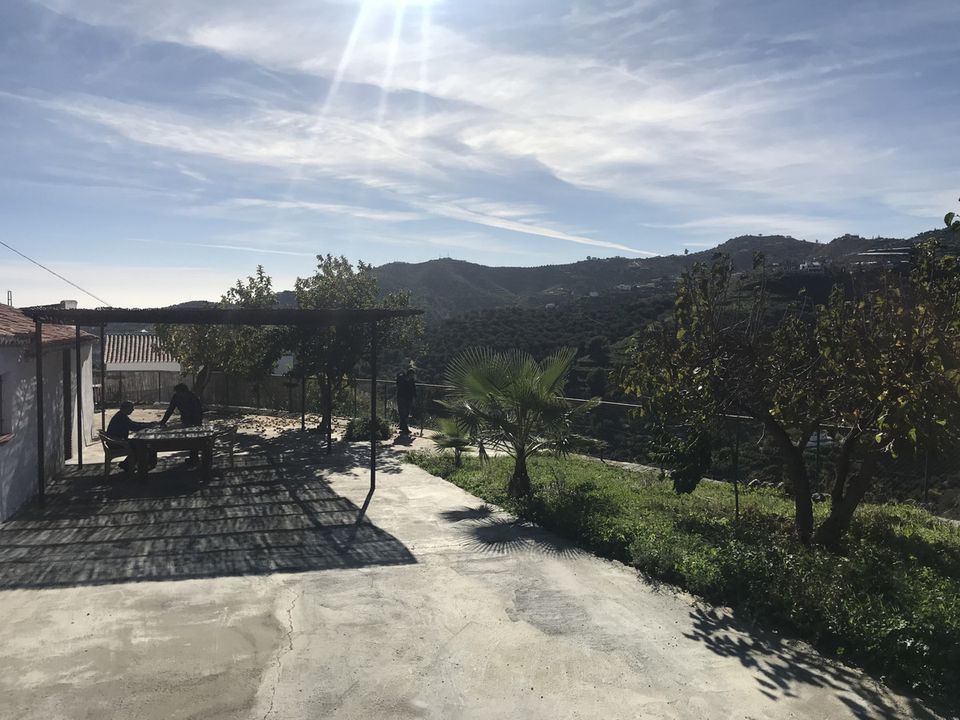 Cortijo i Frigiliana, Malaga - foto 5
