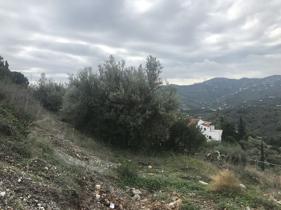 Helårsgrund i Frigiliana, Malaga - foto 4