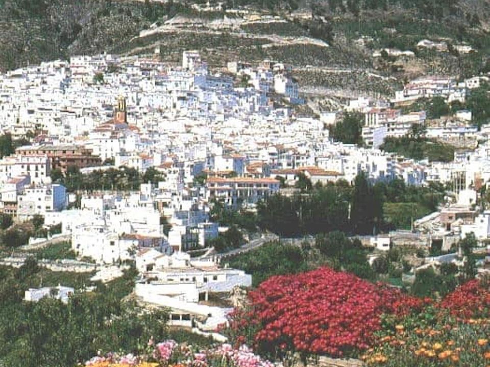 Helårsgrund i Competa, Malaga - foto 5