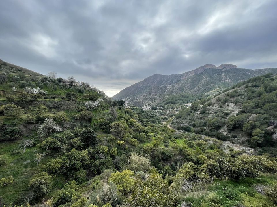Rækkehus i Nerja, Malaga - foto 5