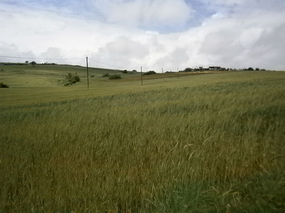Helårsgrund i Campolattaro, Benevento - foto 5