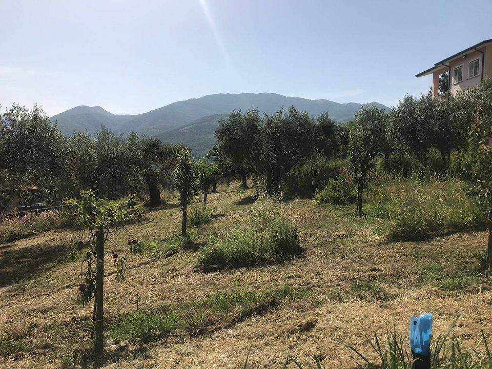 Helårsgrund i Foglianise, Benevento - foto 2
