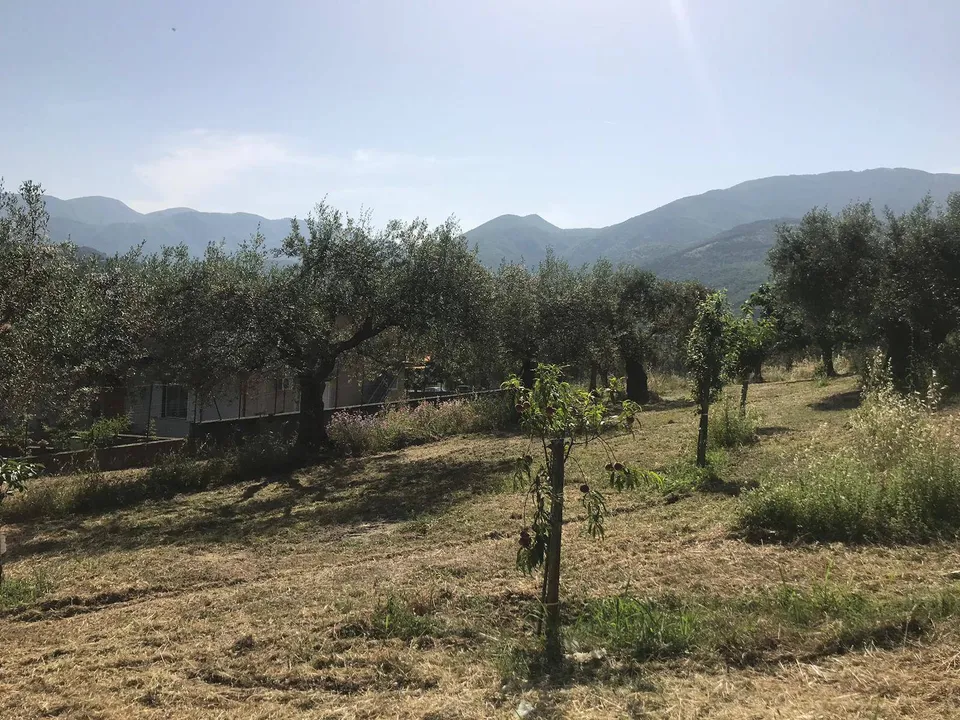 Helårsgrund i Foglianise, Benevento - foto 3