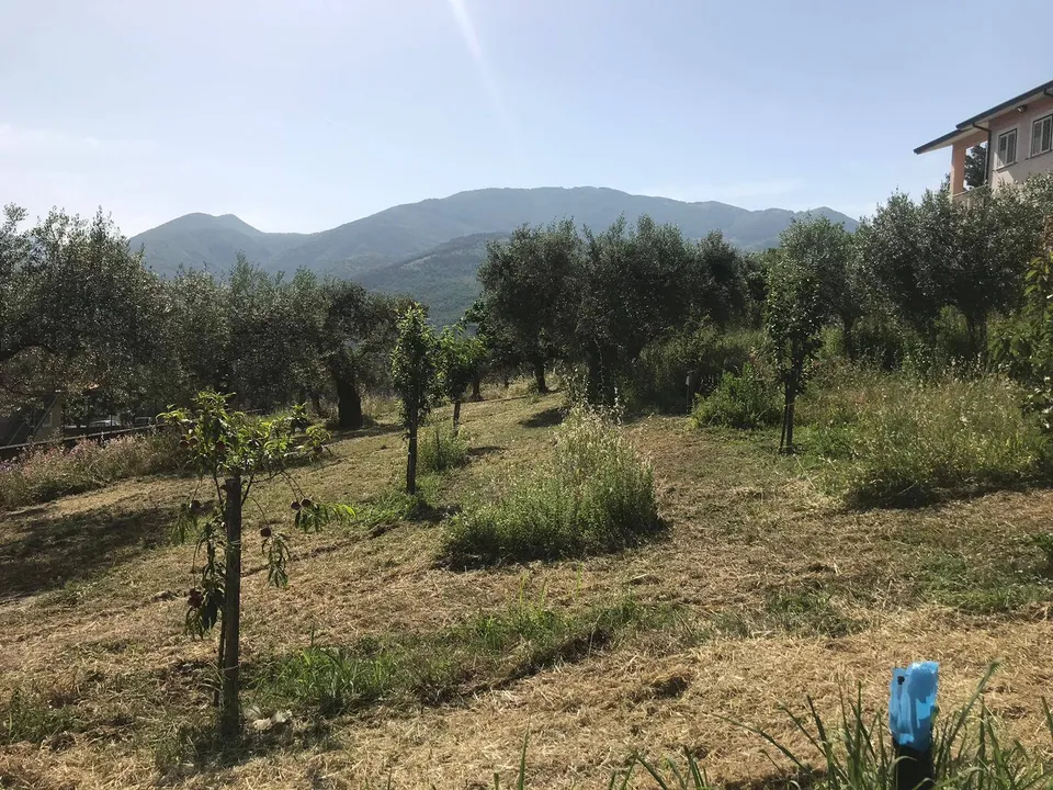 Helårsgrund i Foglianise, Benevento - foto 5
