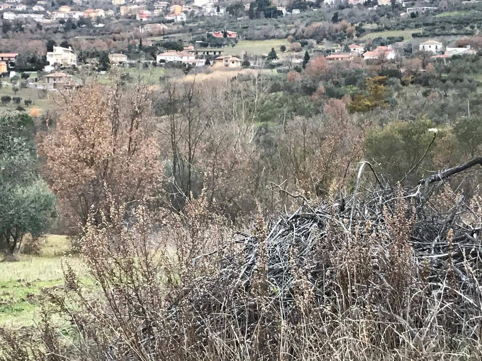 Tomt i Foglianise, Benevento - bilde 1