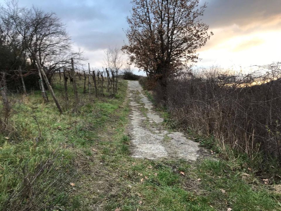 Tomt i Foglianise, Benevento - bilde 5