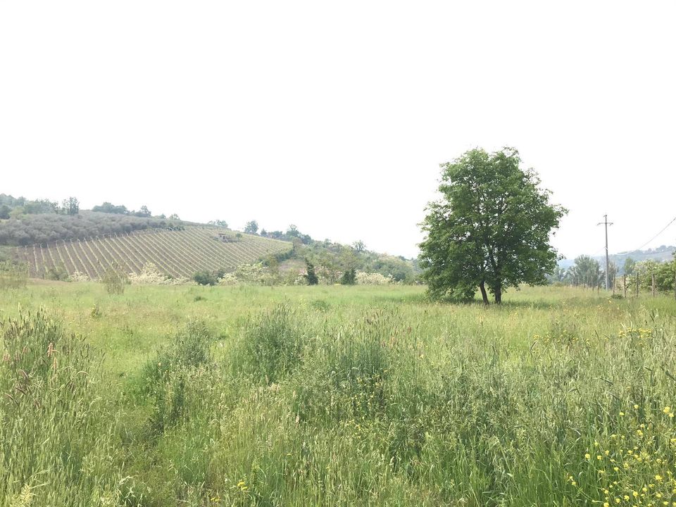 Helårsgrund i Benevento, Benevento - foto 1