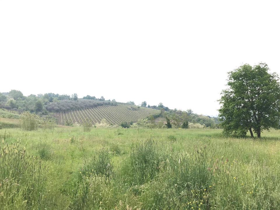 Helårsgrund i Benevento, Benevento - foto 4