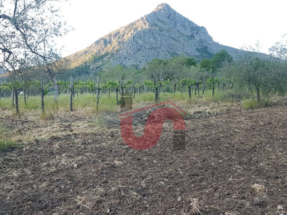 Helårsgrund i Foglianise, Benevento - foto 1