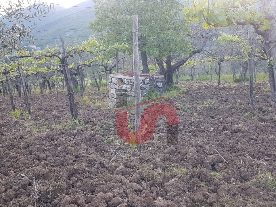 Helårsgrund i Foglianise, Benevento - foto 2