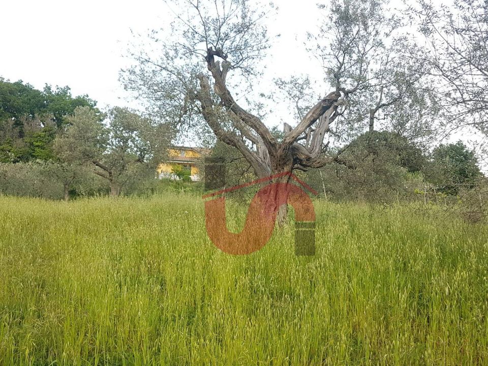 Helårsgrund i Foglianise, Benevento - foto 3