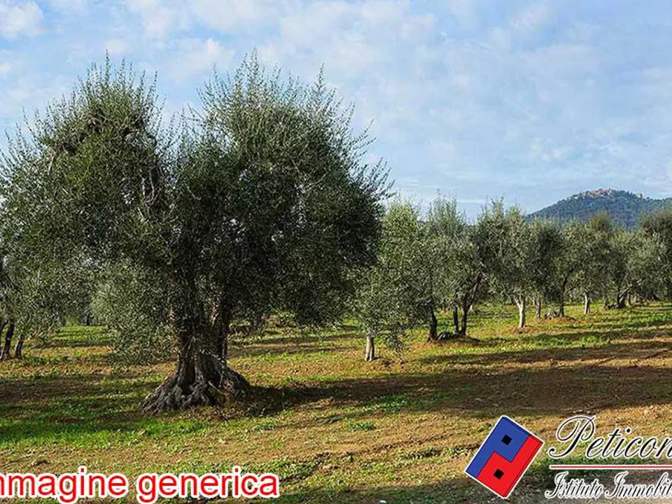 Helårsgrund i Fondi, Latina - foto 1