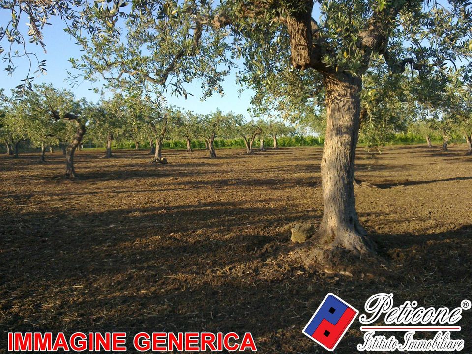 Tomt i Lenola, Latina - bilde 2