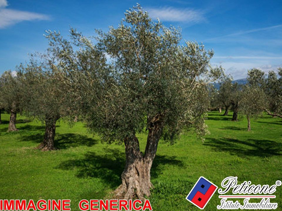 Tomt i Lenola, Latina - bilde 3