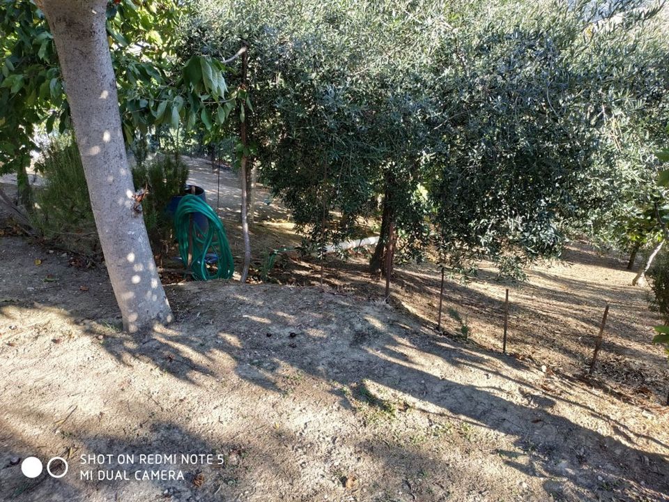 Villa i Monteprandone, Ascoli Piceno - foto 5
