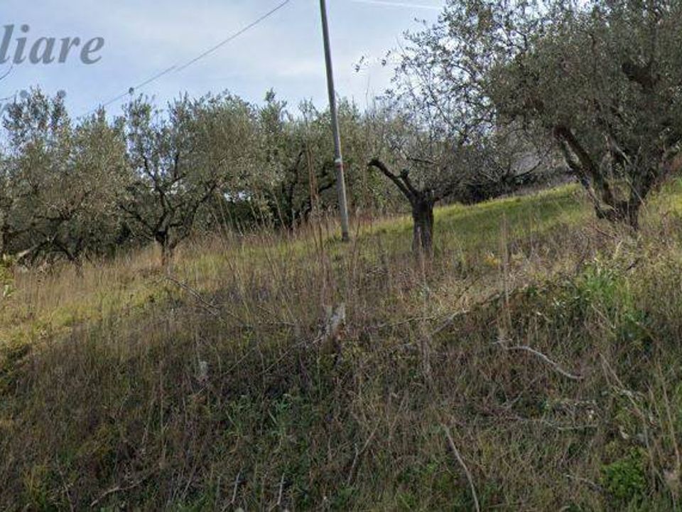 Helårsgrund i Monteprandone, Ascoli Piceno - foto 5