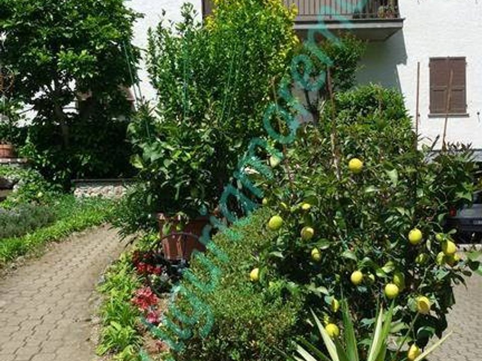 Villa i Millesimo, Savona - foto 3