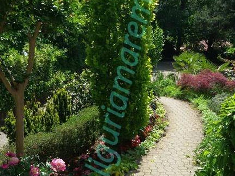 Villa i Millesimo, Savona - foto 4
