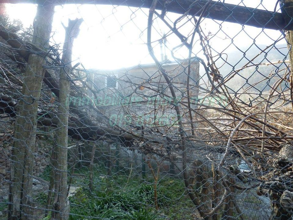 Villa i Savona, Savona - foto 2