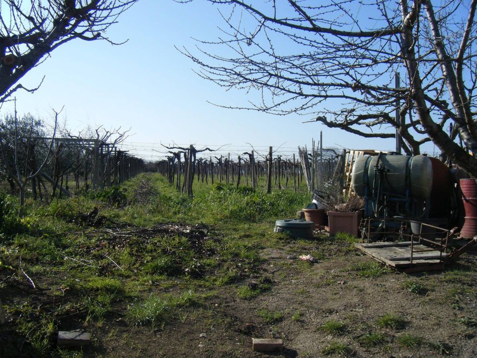 Villa i Pollutri, Chieti - bilde 3
