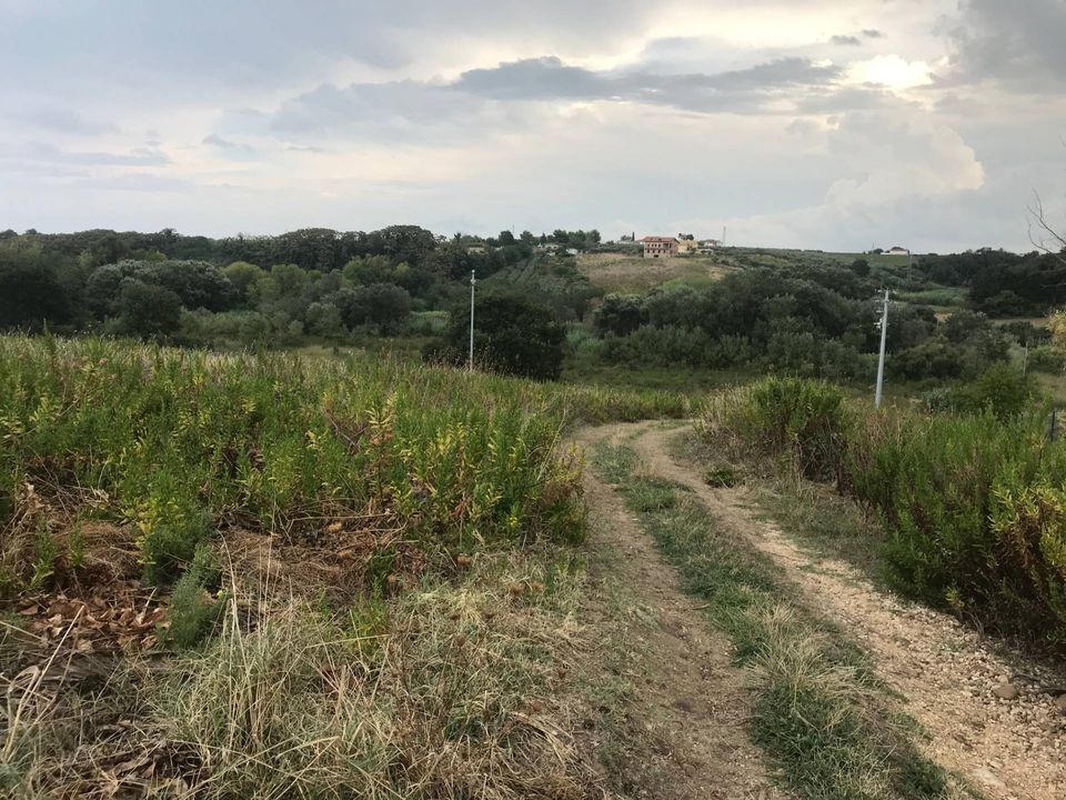 Helårsgrund i Vasto, Chieti - foto 3