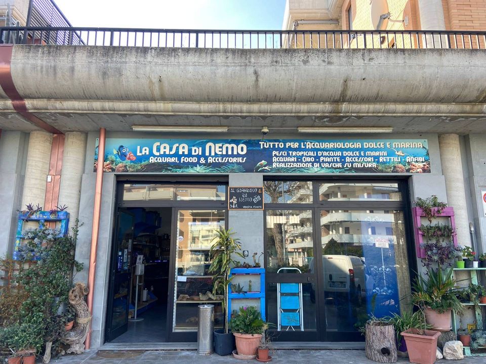 Erhvervsejendom i Vasto, Chieti - foto 1