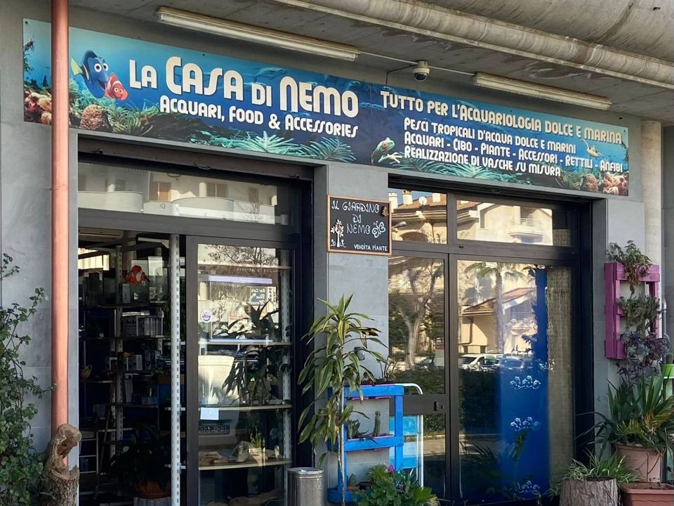 Erhvervsejendom i Vasto, Chieti - foto 2