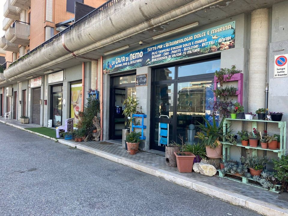 Erhvervsejendom i Vasto, Chieti - foto 3