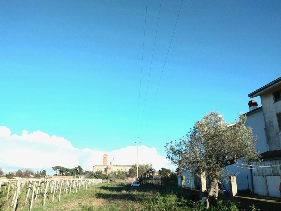 Villa i Casalbordino, Chieti - bilde 2