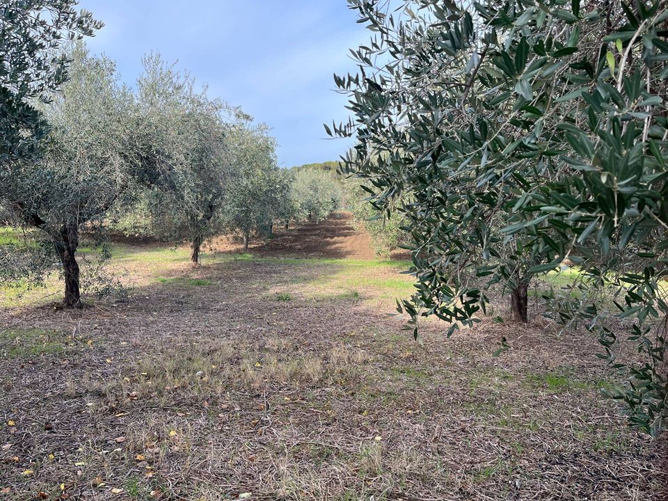 Helårsgrund i Vasto, Chieti - foto 1