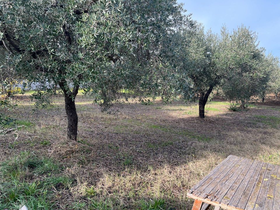 Helårsgrund i Vasto, Chieti - foto 2