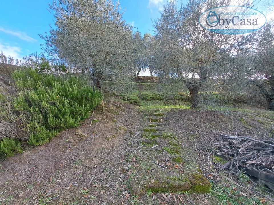 Helårsgrund i Oriolo Romano, Viterbo - foto 4
