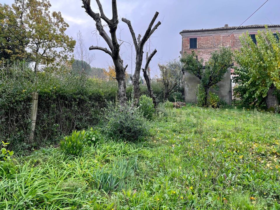 Landejendom i Belvedere Ostrense, Ancona - foto 4