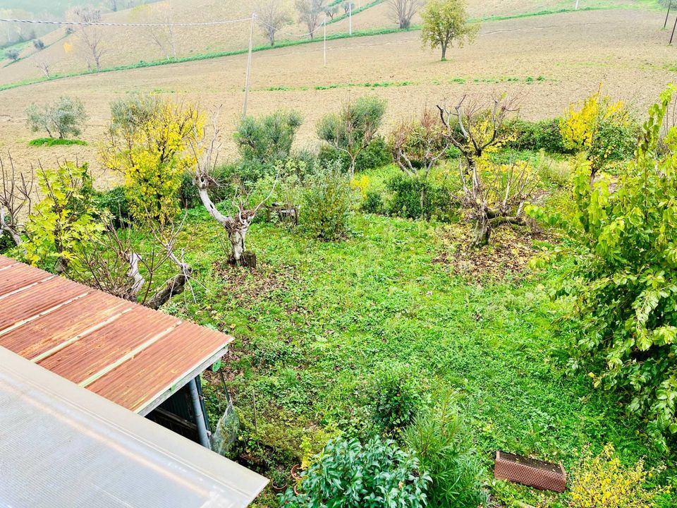 Landejendom i Belvedere Ostrense, Ancona - foto 5