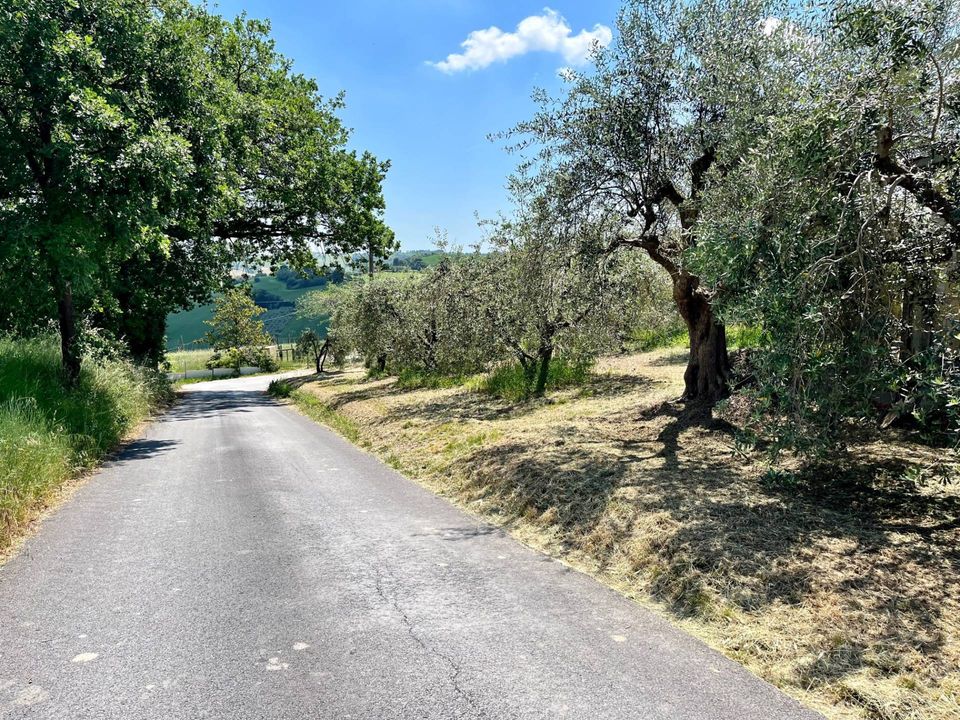 Helårsgrund i Monte San Pietrangeli, Fermo - foto 1